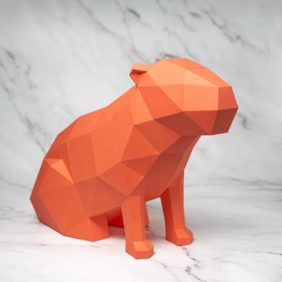 Capivara (1)