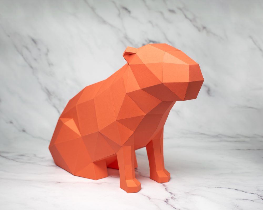 Capivara (1)