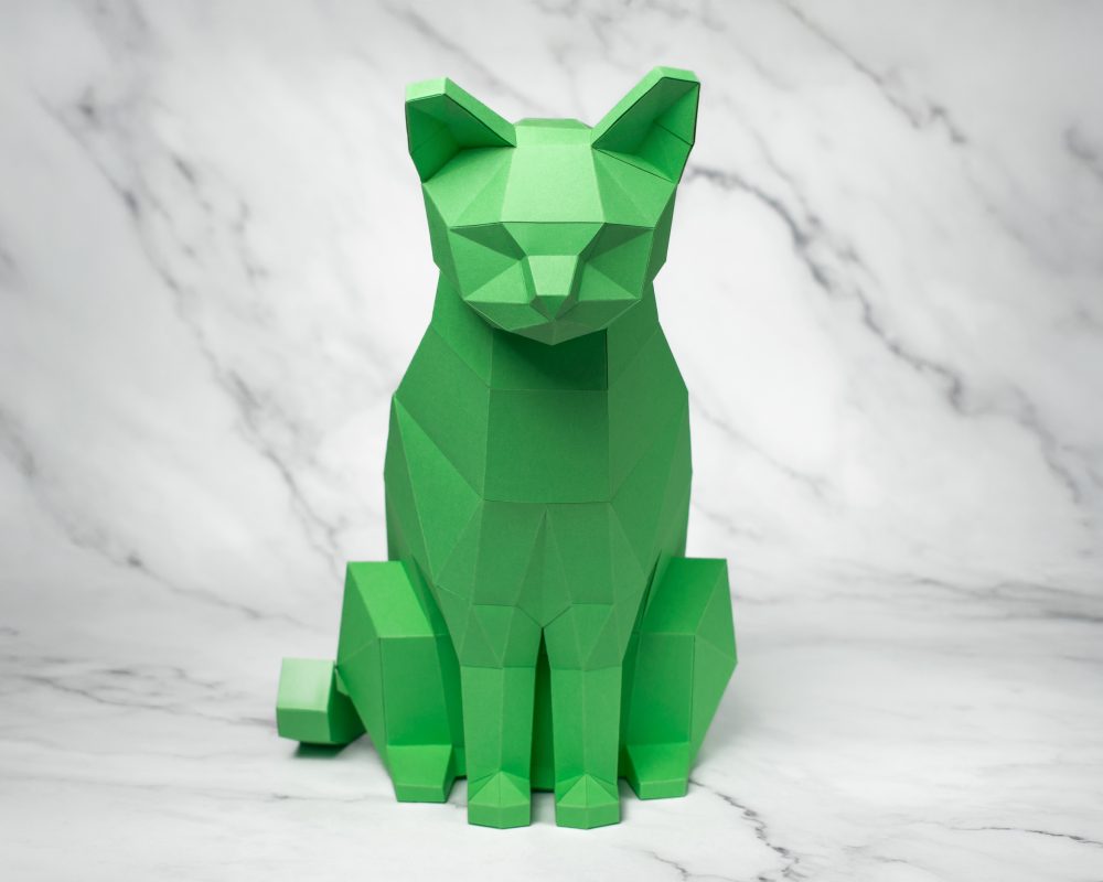 gato verde (7)