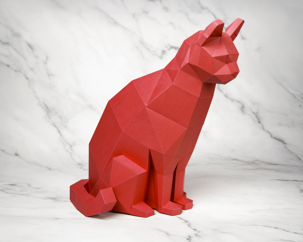 gato vermelho (2)