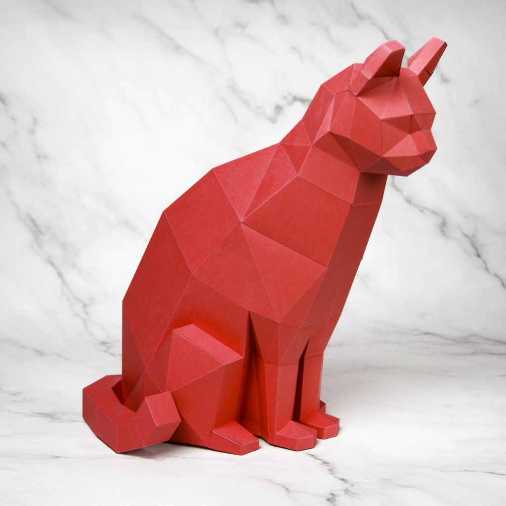 gato vermelho (2)