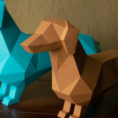 salsicha cachorro (10)