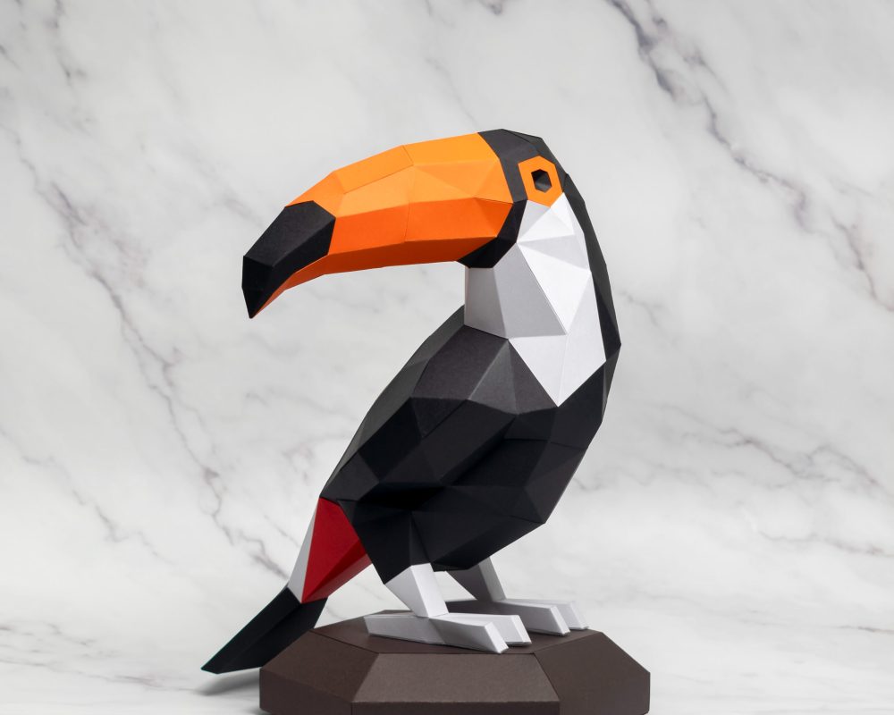 tucano (6)